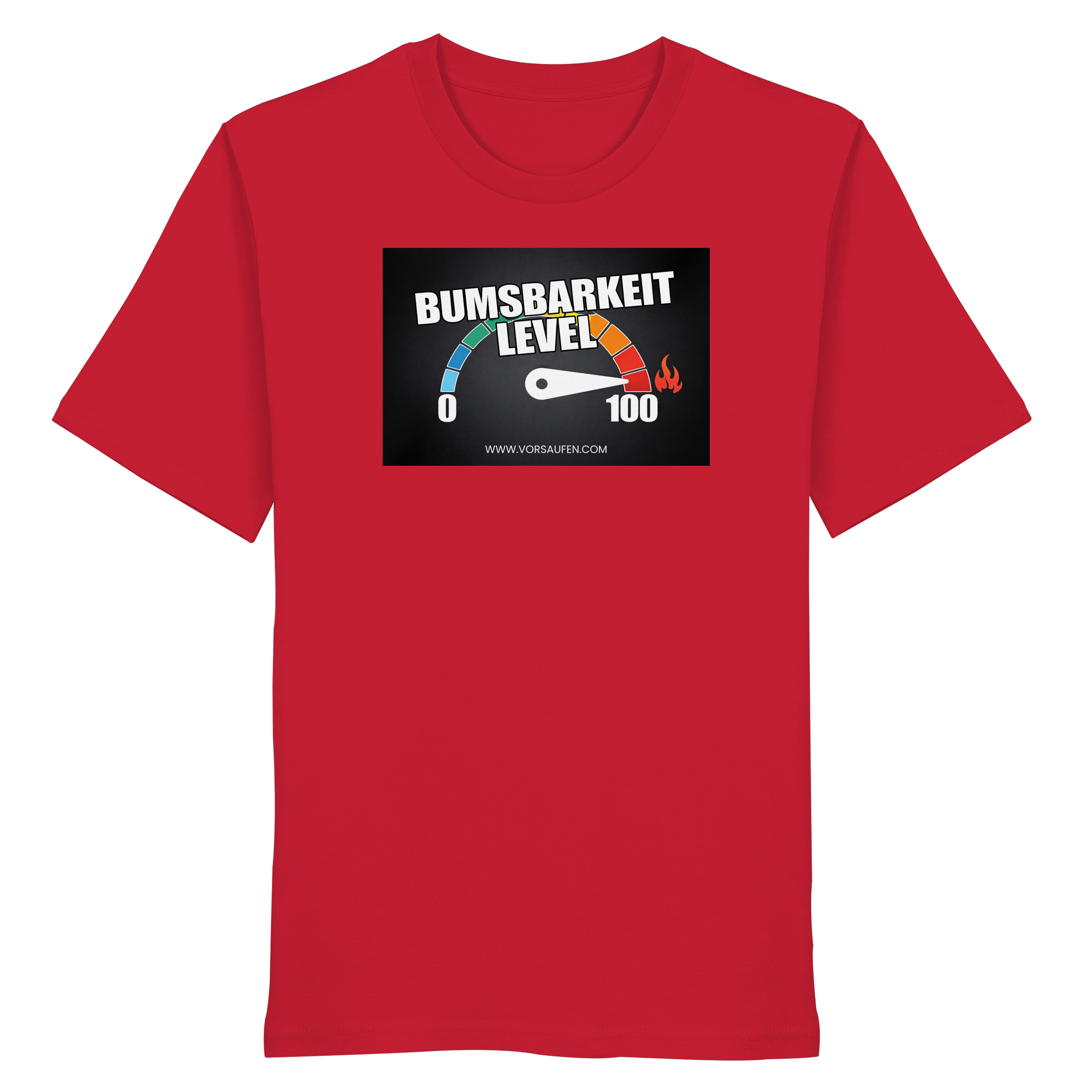 Bumsbarkeit LVL 100 - Organic Shirt